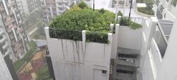 Blk 133A Plantation Grange (Tengah), HDB 5 Rooms #593664221